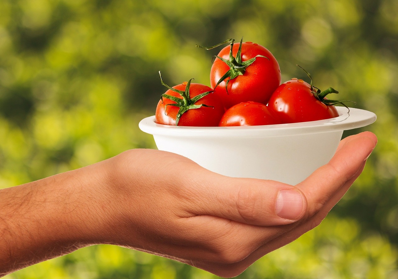 tomatoes, vegetables, healthy, food, yummy, red, vitamins, meal, tomatoes, tomatoes, tomatoes, tomatoes, tomatoes